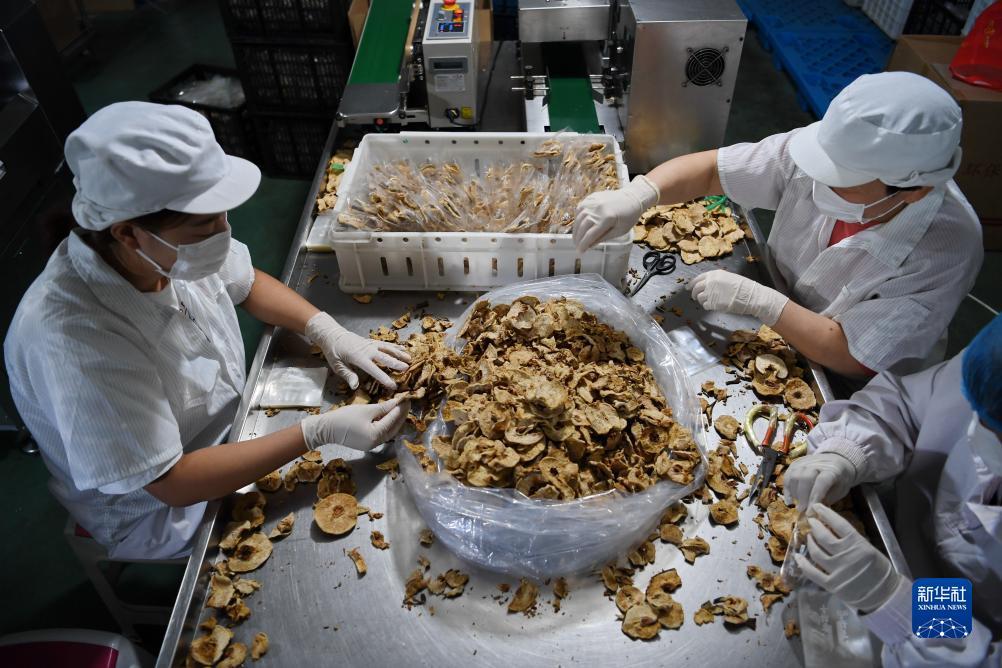 金沙总站平台下载